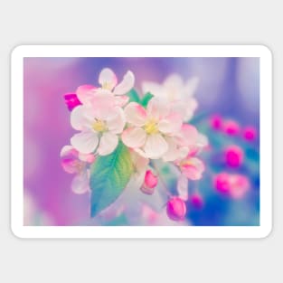 Pretty Pink Petals Sticker